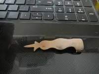 DSCN0459.webp