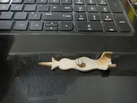 DSCN0460.webp