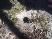 Drill Hole.webp