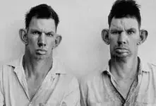 hillbillies.webp
