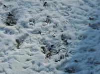 DSCN9680.webp