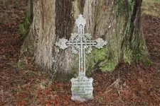 ImageUploadedByTreasureNet.com1456374226.959055.webp
