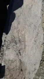 011 (450x800).webp