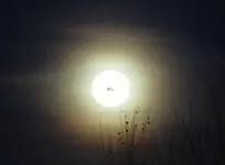 full moon.webp