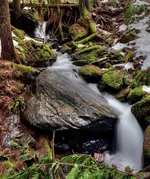 LastTM_edited-2.webp