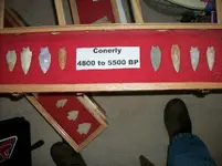 100_4159.webp