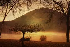 ImageUploadedByTreasureNet.com1456415939.148868.webp