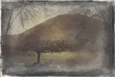 ImageUploadedByTreasureNet.com1456415974.254078.webp
