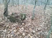 image.webp
