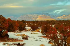 dove creek 4.webp