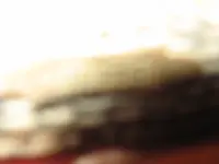 what is it 014.webp