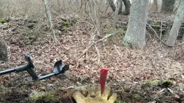 20160225_105302.webp