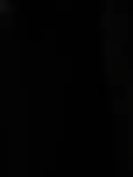 what is it 013.webp