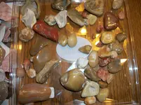 100_4134.webp