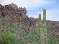 SUPERSTITION MOUNTAINS 019.webp