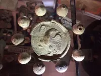 Eagle breast plate Nashville TN.webp