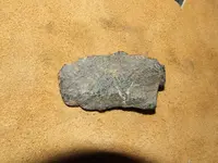 DSCF0683.webp