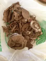 ImageUploadedByTreasureNet.com1452870179.331305.webp