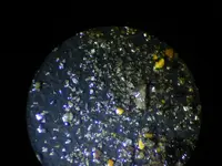microsilver.webp