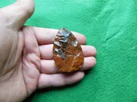 DSCN1357.webp