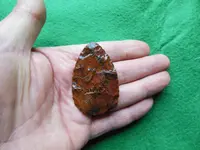 DSCN1358.webp