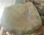 7x7 dish 1c.webp
