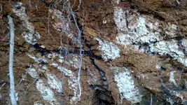 IMG_20160129_135257833.webp