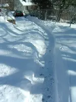 DSCF3521.webp