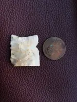 ImageUploadedByTreasureNet.com1455805756.463095.webp