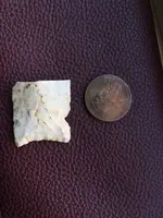 ImageUploadedByTreasureNet.com1455805765.796312.webp