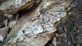 close up of quartz.webp