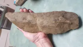11 inch knife.webp