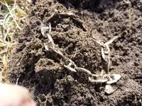 20150404_115940 bracelet 14k.webp