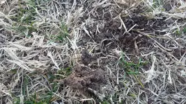 20160124_151533.webp