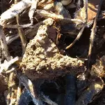 IMG_20160218_100811_edit.webp