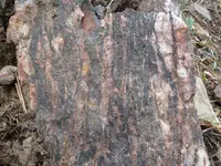 vein 5-17-14 011.webp