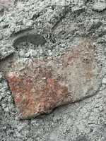 ImageUploadedByTreasureNet.com1454279622.776626.webp