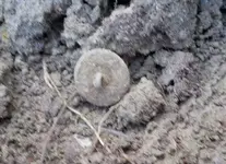 DSCN2681.webp