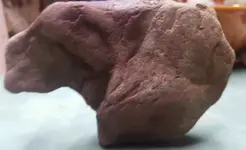 Bison 2e.webp