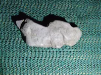 DSCF0597.webp