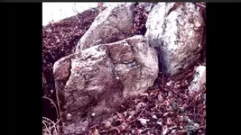 Screenshot_2016-01-13-21-28-27.webp