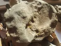 mammoth head dish 3.webp