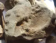 mamoth head dish.webp