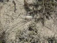 DSCN2086.webp