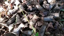 20160124_125049.webp