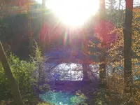 CAM01854.webp