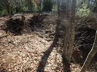 P2020018.webp