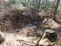 P2020011.webp