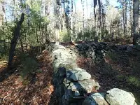 P2020032.webp