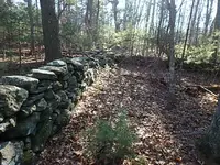 P2020035.webp